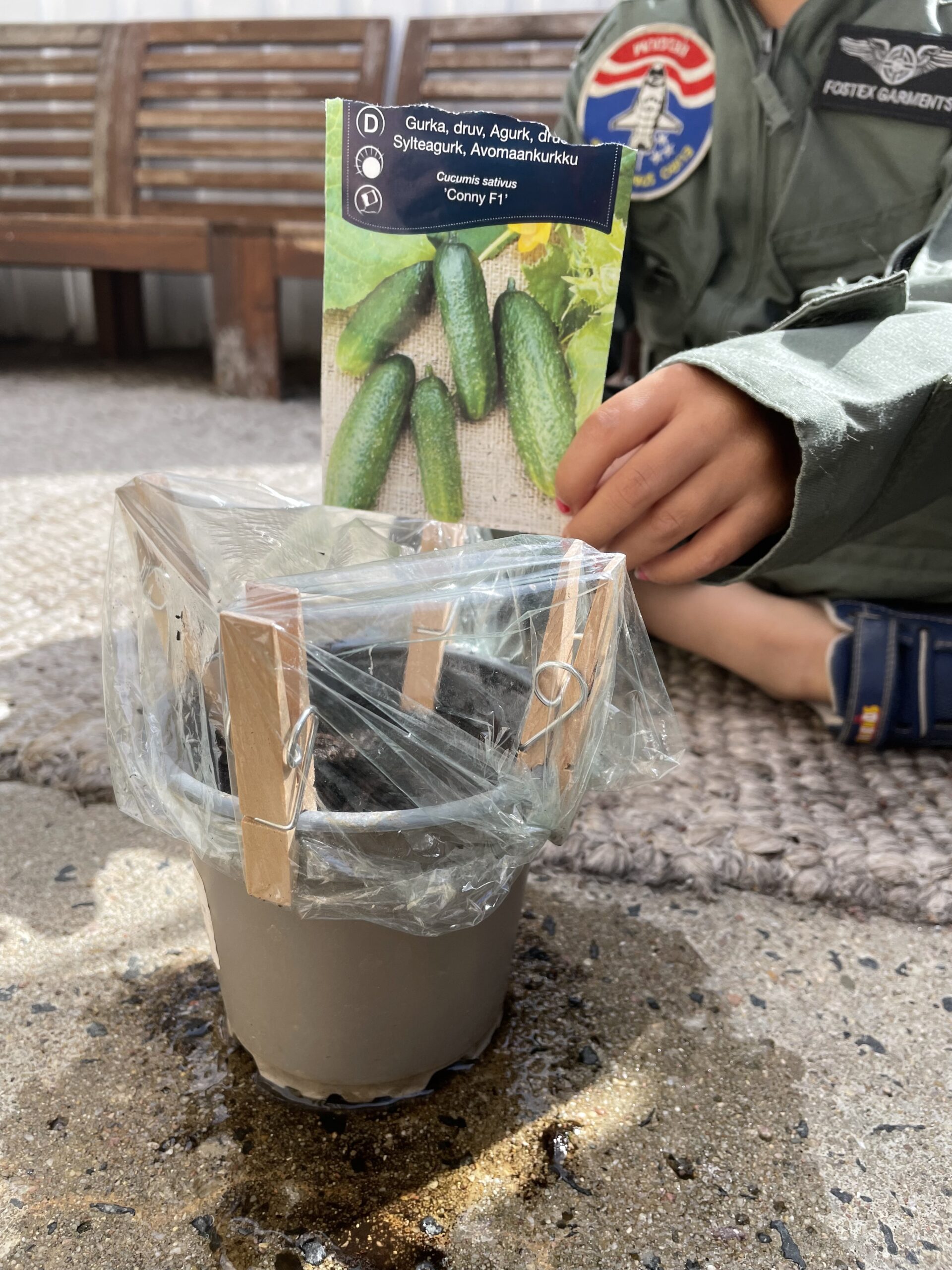 Maj dags att odla gurka, potatis och zucchini Grow Here