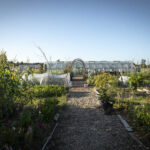 Kungsbacka Tillsammansodling